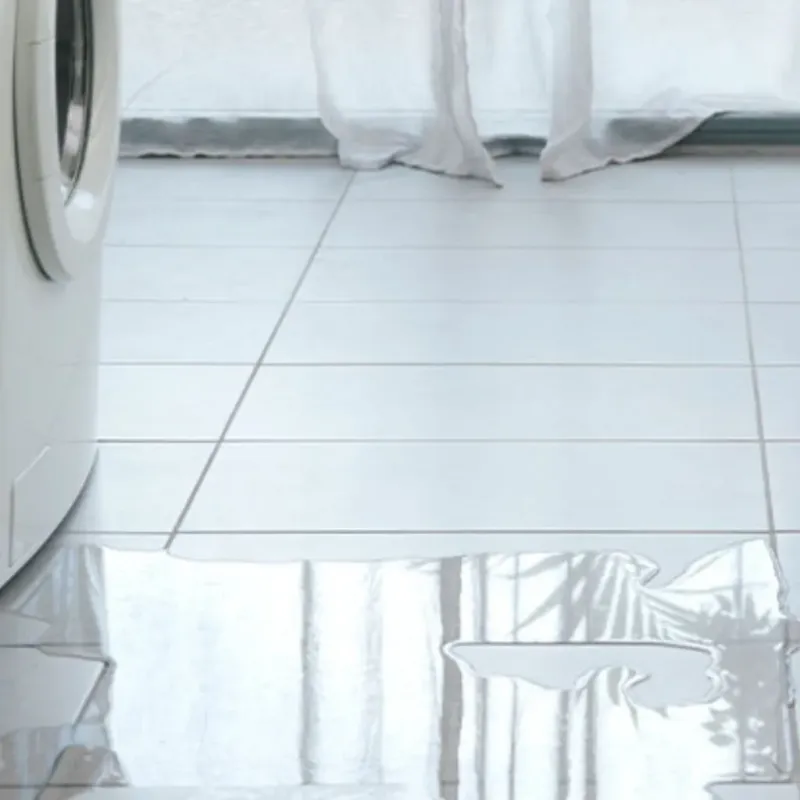 Appliance Leak Cleanup in Wolfeboro, NH