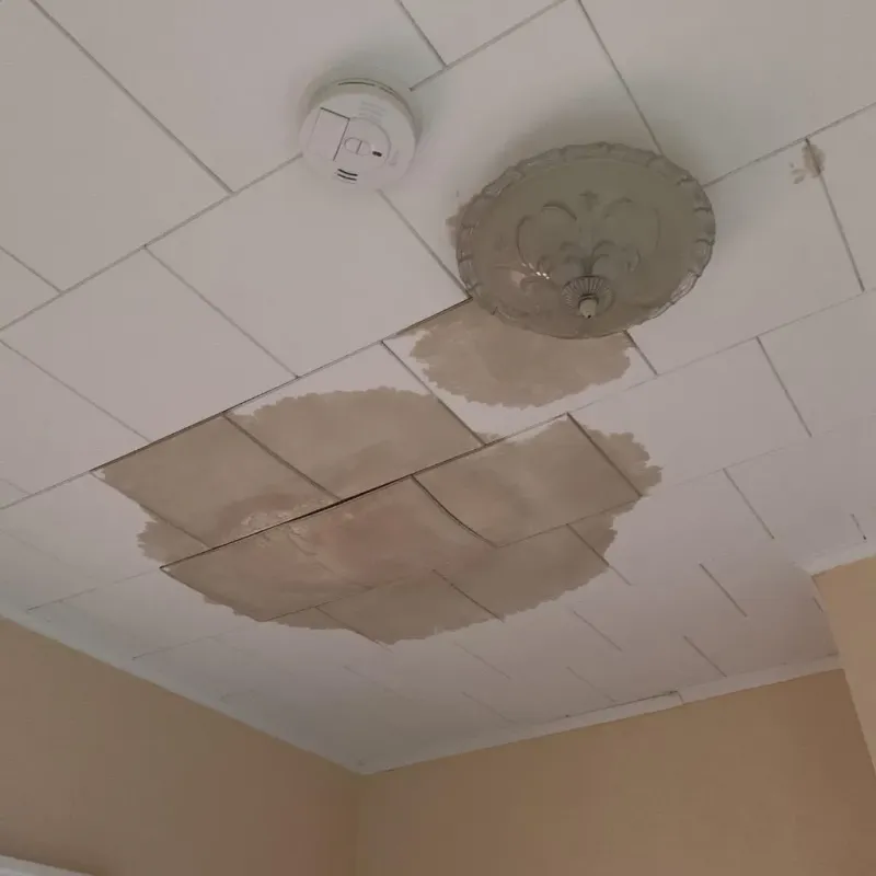 Ceiling Water Damage Repair in Wolfeboro, NH