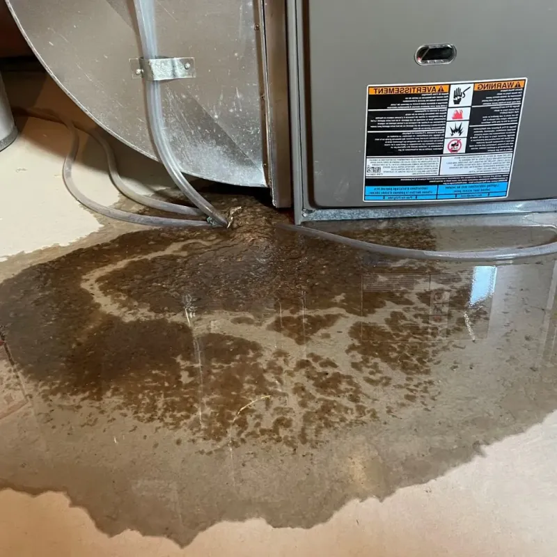 Pipe Burst and Leak Restoration in Wolfeboro, NH